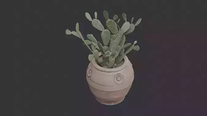 Large Potted Plant in Clay Pot
