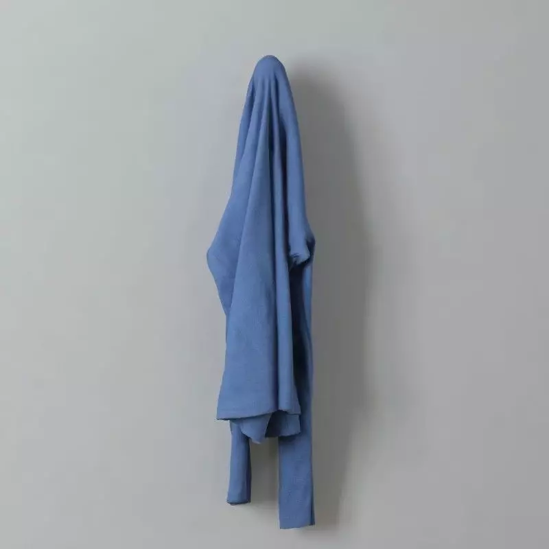 clothes 67 am159 3D model