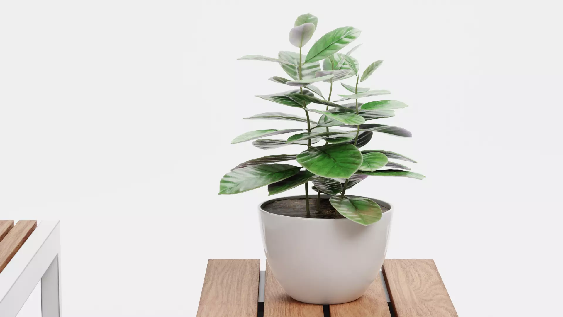 -Garden Setup V5- Low-poly 3D model_10