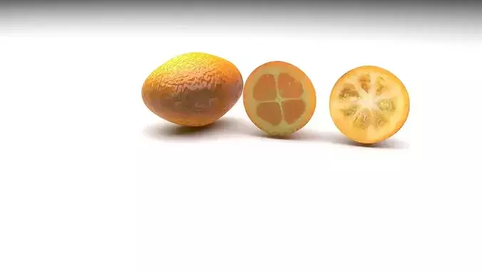 Kumquats Set 3D model 3