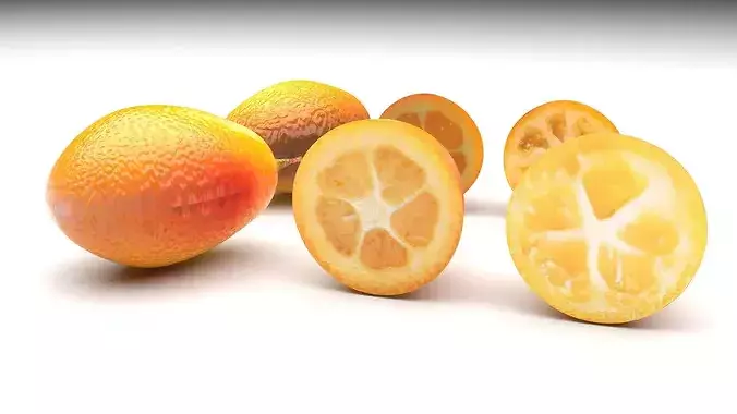 Kumquats Set 3D model 2