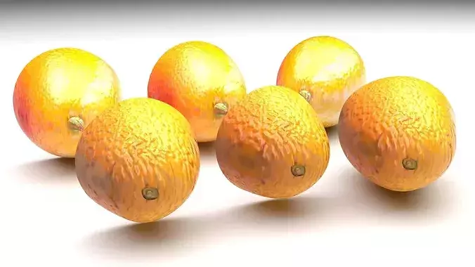 Kumquats Set 3D model 5