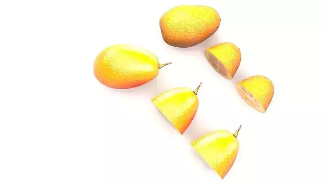 Kumquats Set 3D model 4