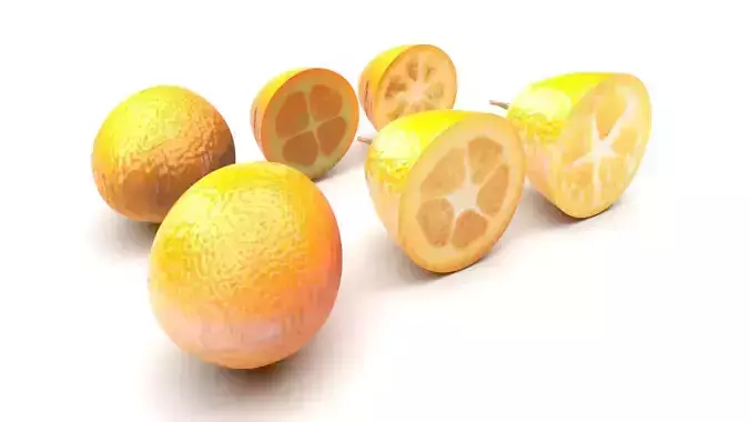 Kumquats Set 3D model