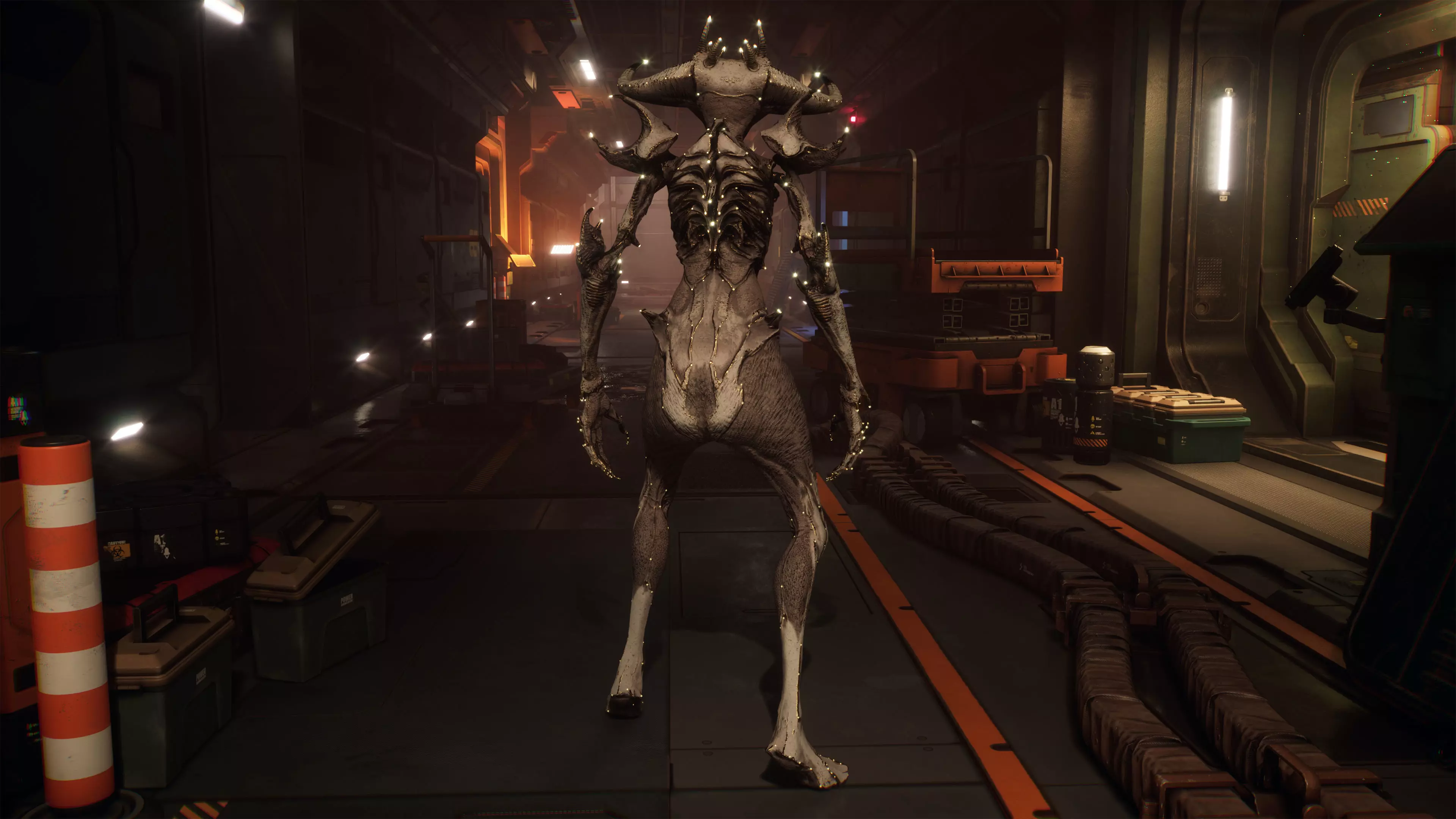 Alien 4 Remake Low-poly 3D model_6