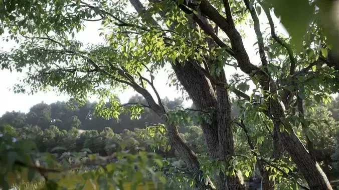 Archmodels for Corona vol 1 - trees and plants