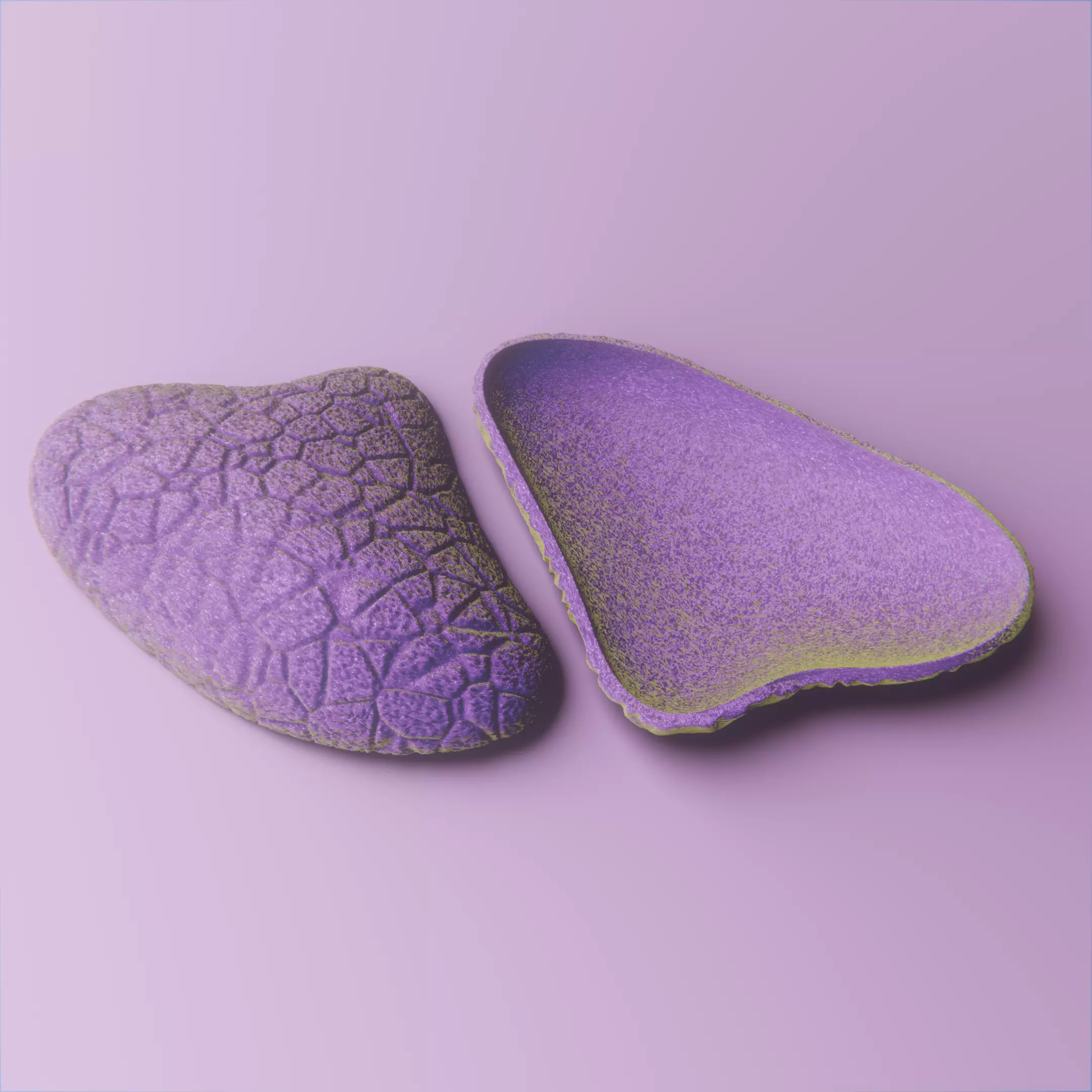 Realistic Decorative Oyster Shell vol 10 3D print model_4