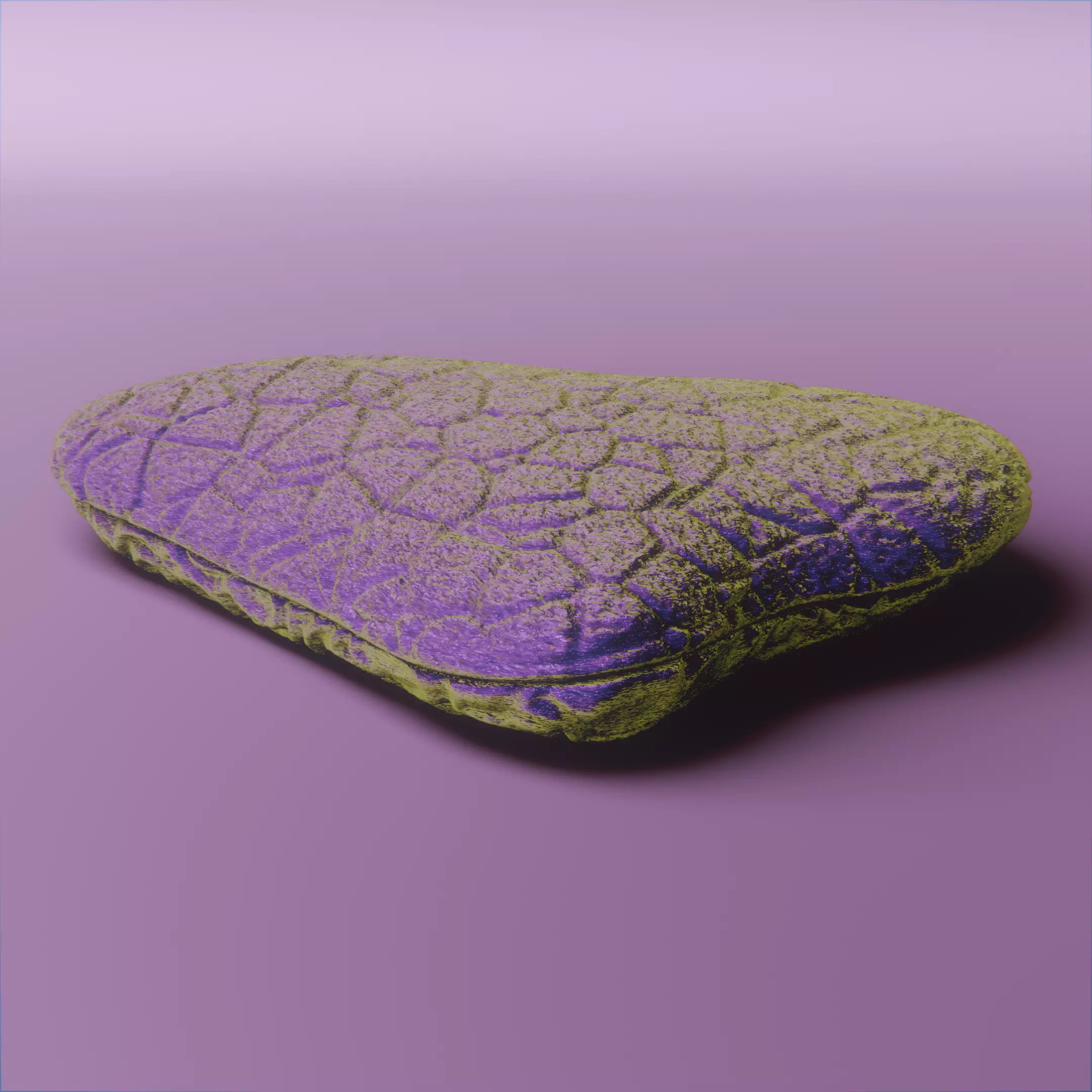 Realistic Decorative Oyster Shell vol 10 3D print model_5