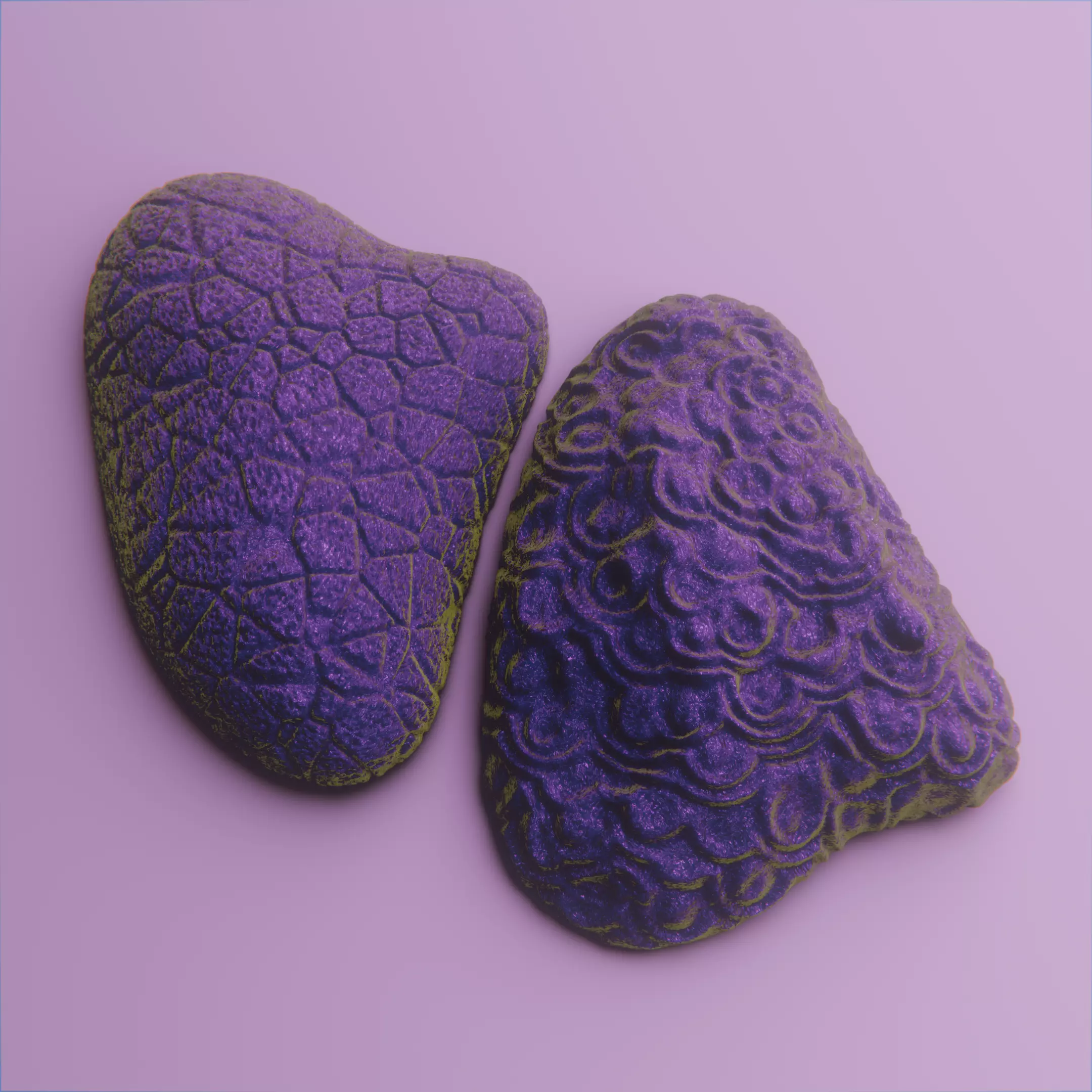 Realistic Decorative Oyster Shell vol 10 3D print model_2