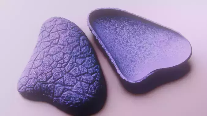 Realistic Decorative Oyster Shell vol 10