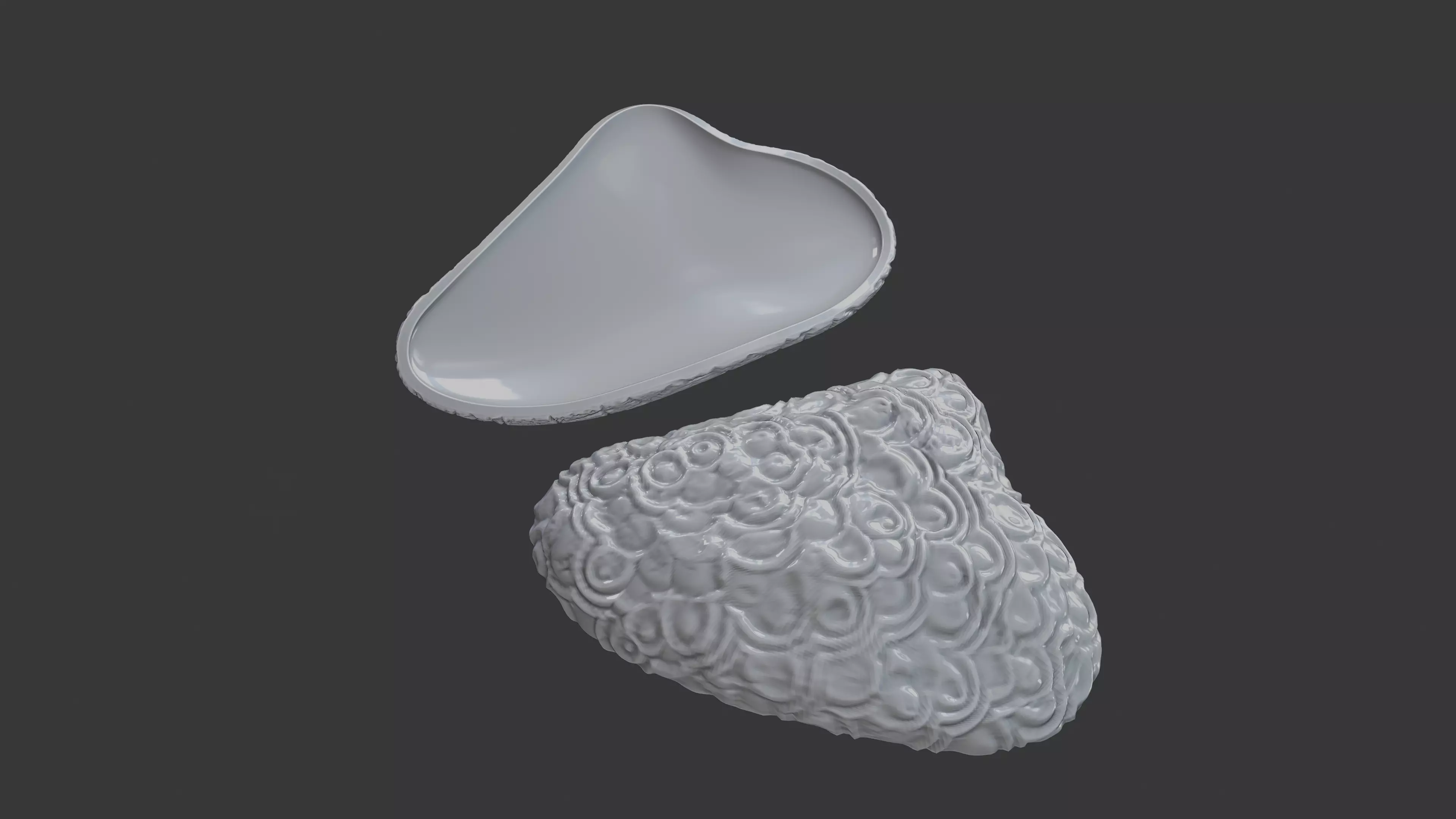 Realistic Decorative Oyster Shell vol 10 3D print model_7