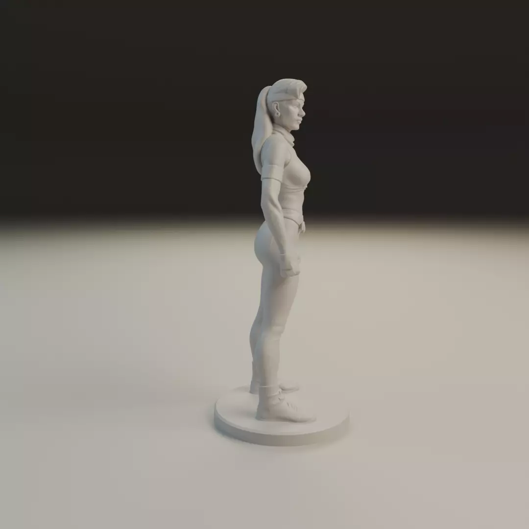 sonya MK3 3D print model_2