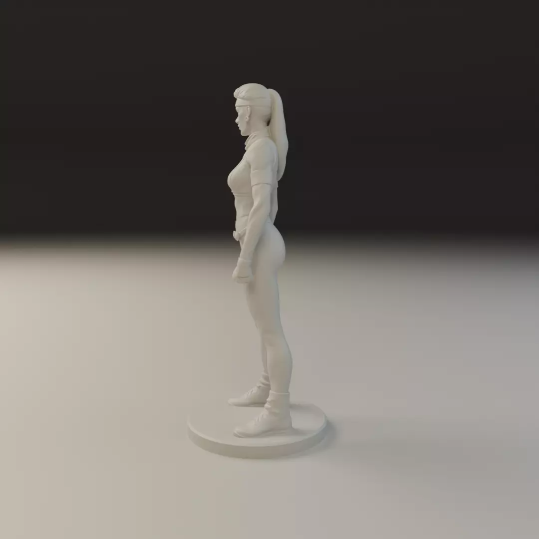 sonya MK3 3D print model_4