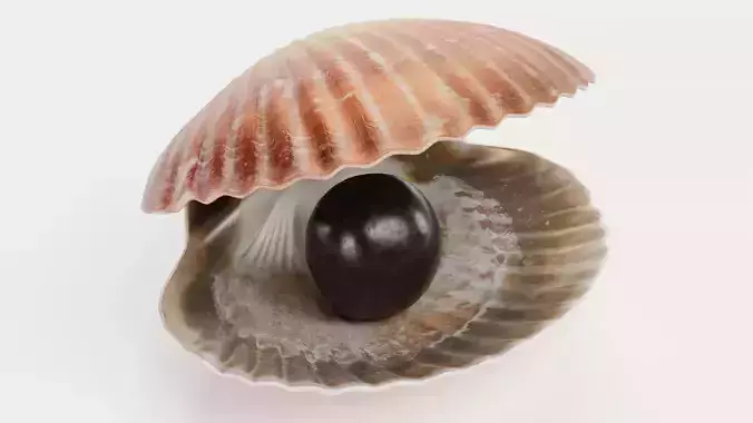 -Clam with Black Pearl- Low-poly 3D model