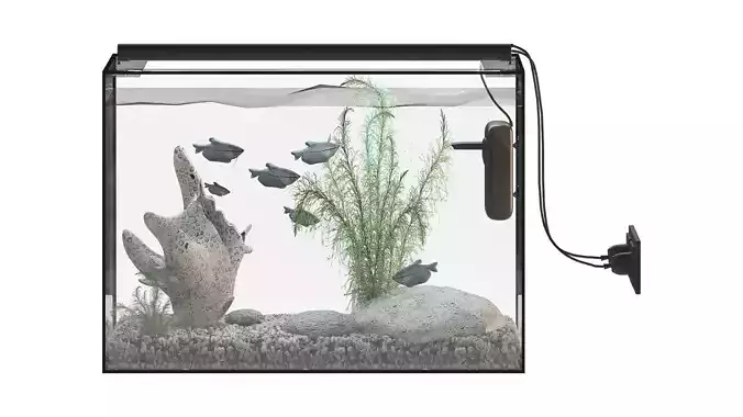 Fish Gourami Aquarium 70x30 3D model