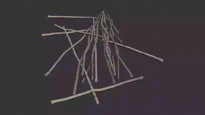 Trampled Reed Fence Debris