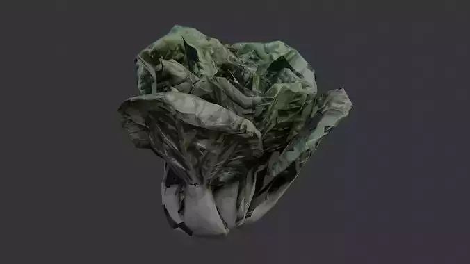 Brassica Rapa Leaf Foliage