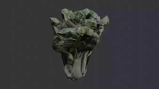 bok choy leafy green vegetable render
