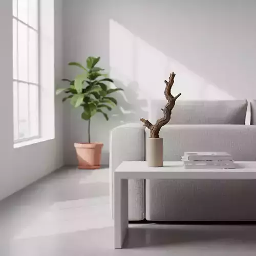 Decorative Dried Wood Branch in Modern Vase