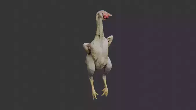 Butchered Chicken Prop Figure