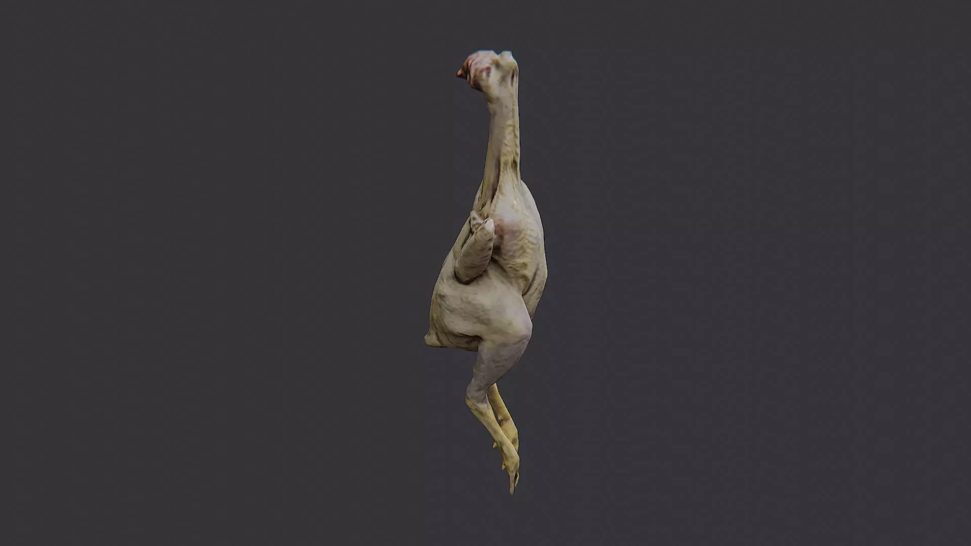 Butchered Chicken Prop Figure Low-poly 3D model_1