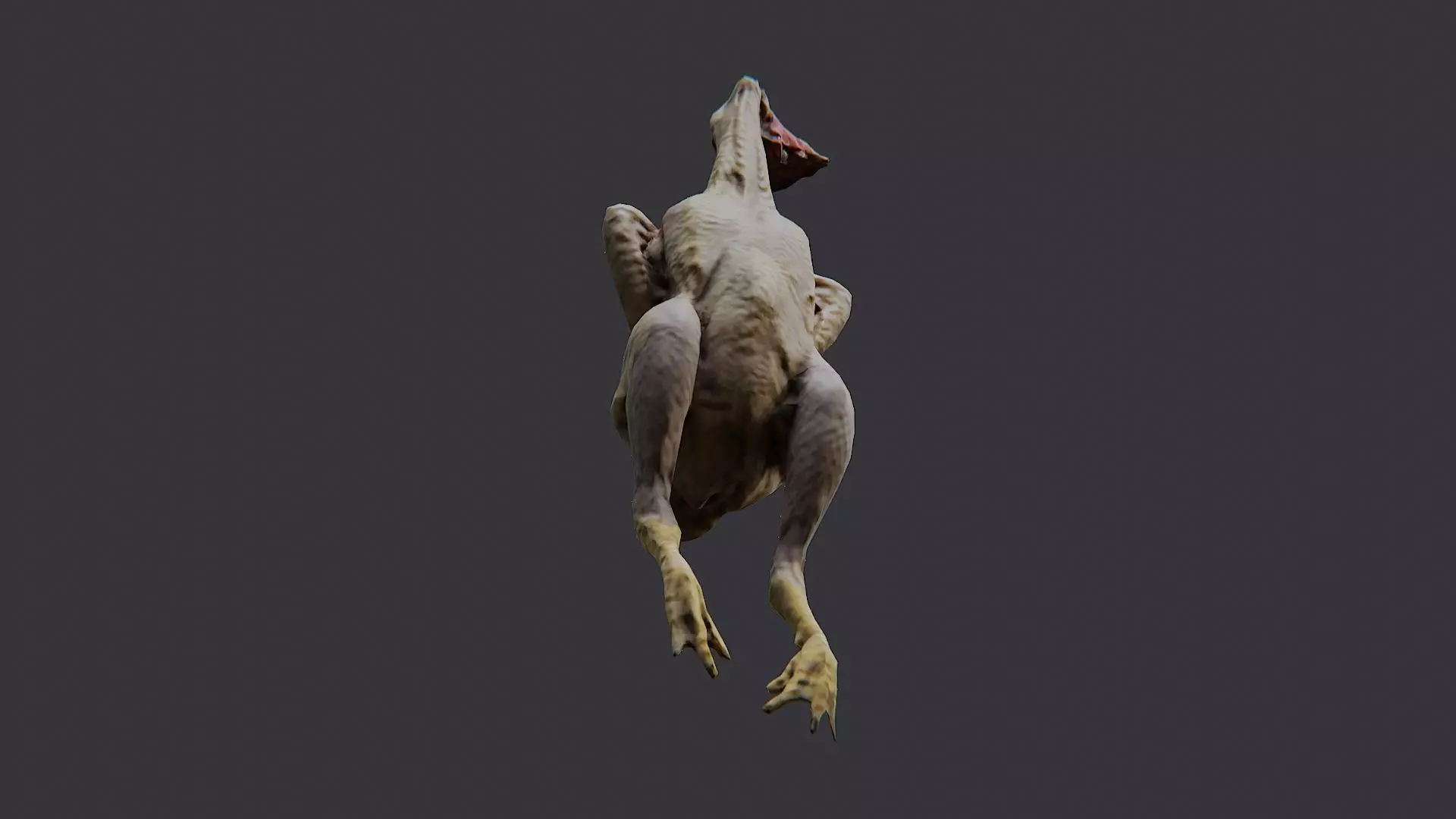 Butchered Chicken Prop Figure Low-poly 3D model_5