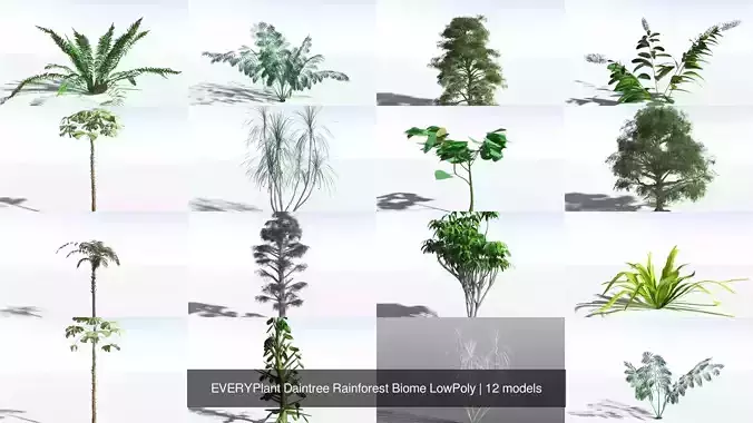 EVERYPlant Daintree Rainforest Biome LowPoly 3D Model Collection