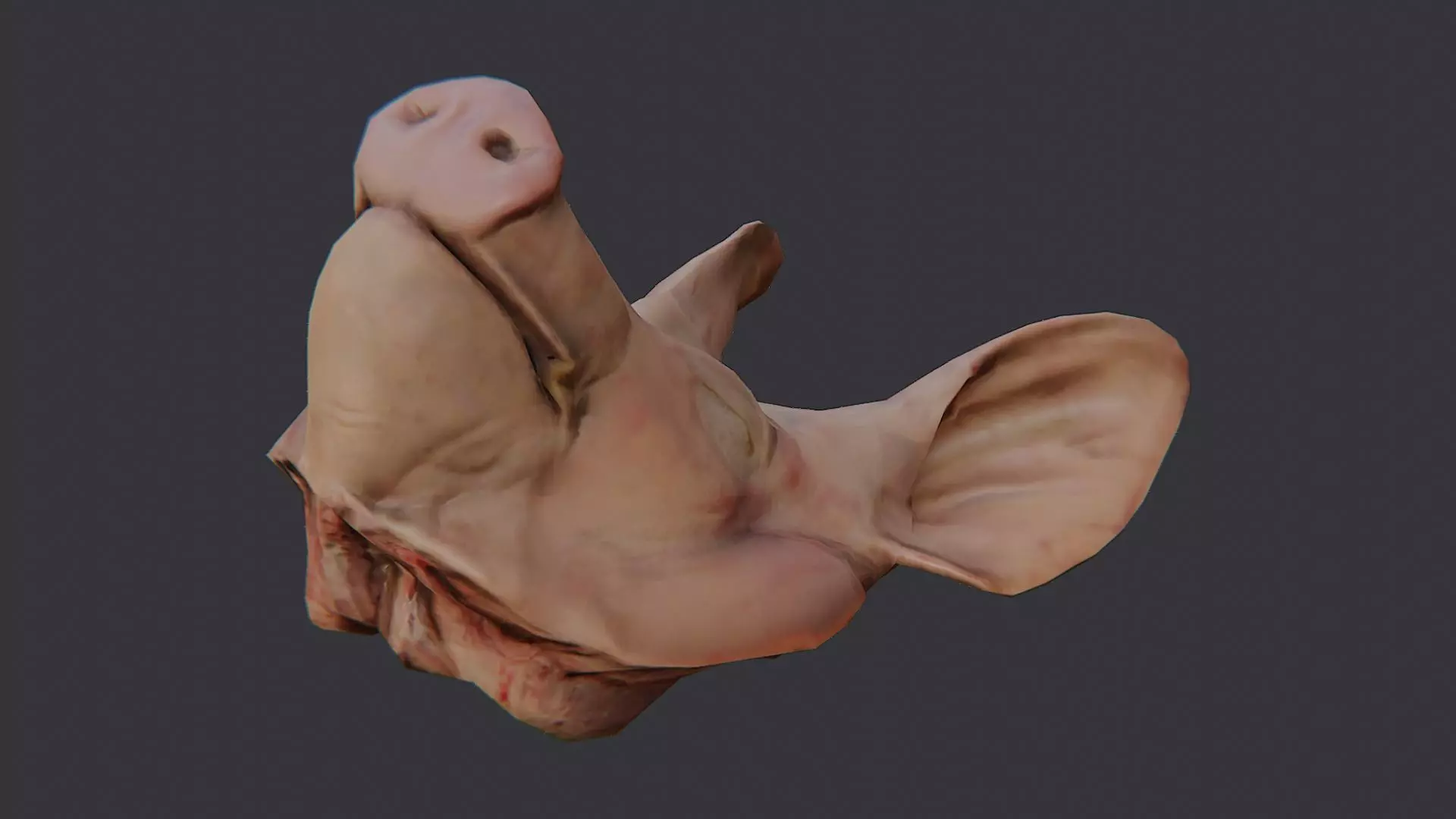 Pig Head Bust Prop for Display Low-poly 3D model_3