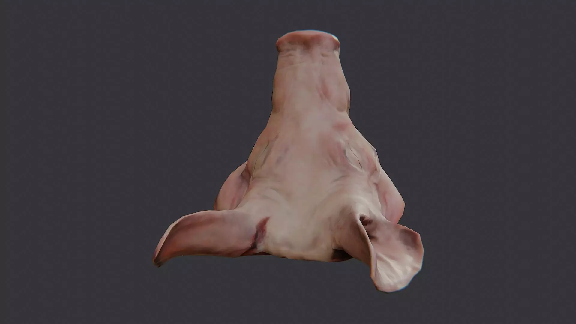 Pig Head Bust Prop for Display Low-poly 3D model_1