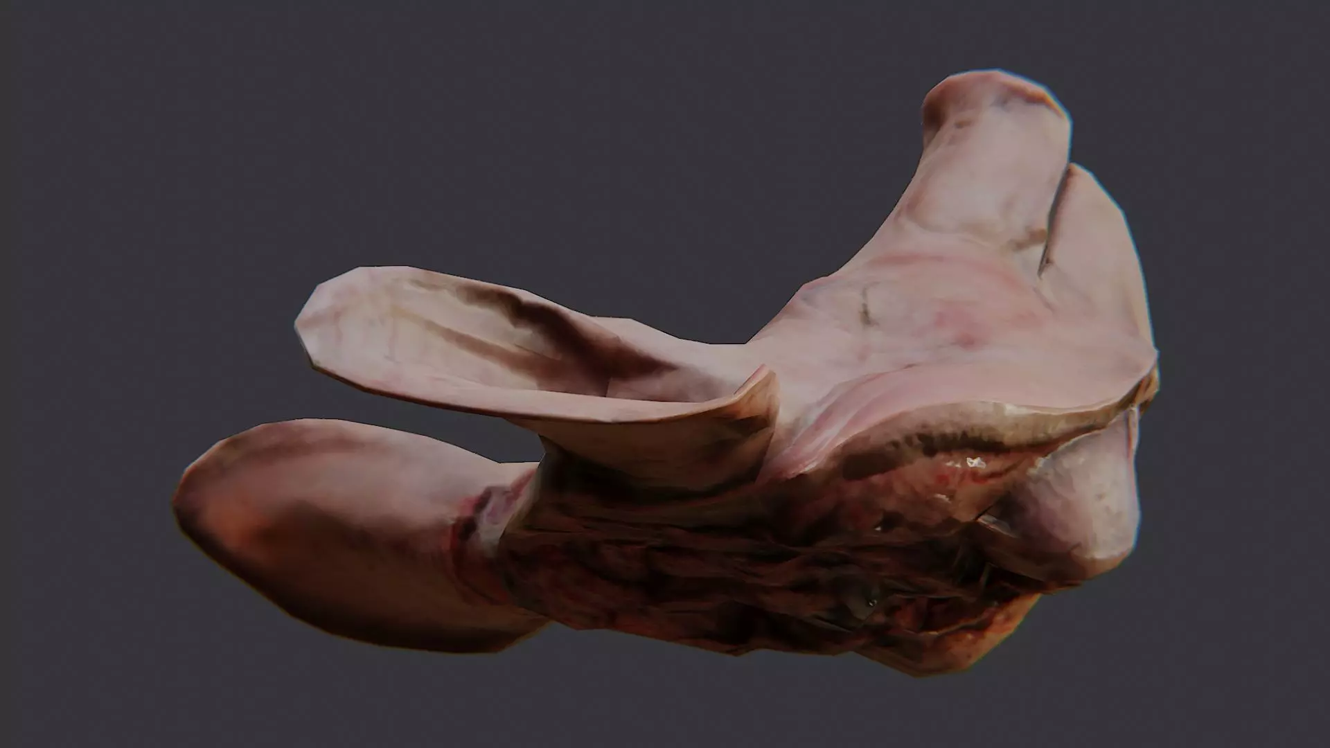 Pig Head Bust Prop for Display Low-poly 3D model_5