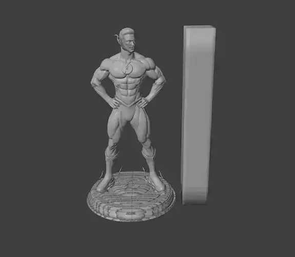 Flash 3D Model STL 3D Printing Ready