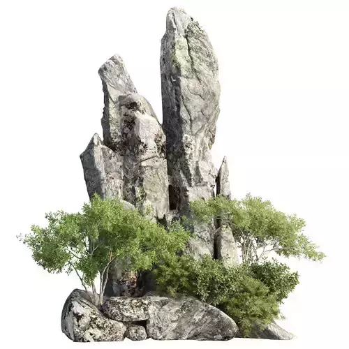 Rocky Cliff with Vegetation Vol 337