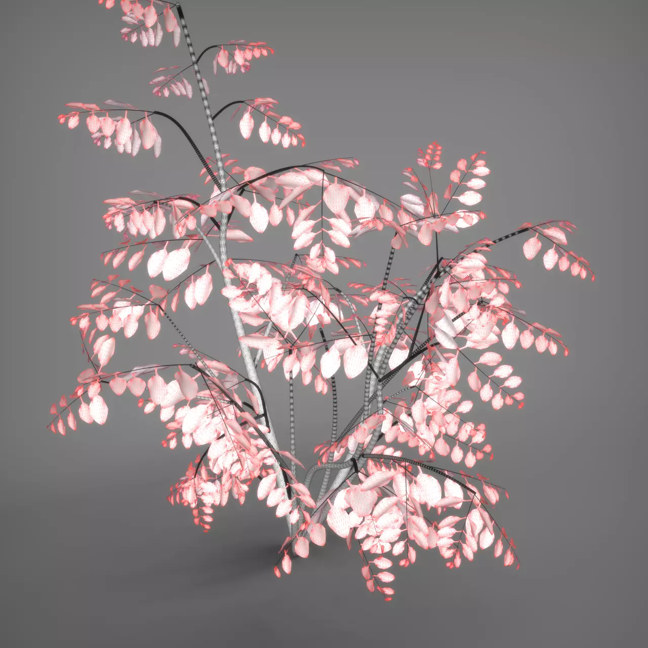 Wild Plant Ficus 3D model_8