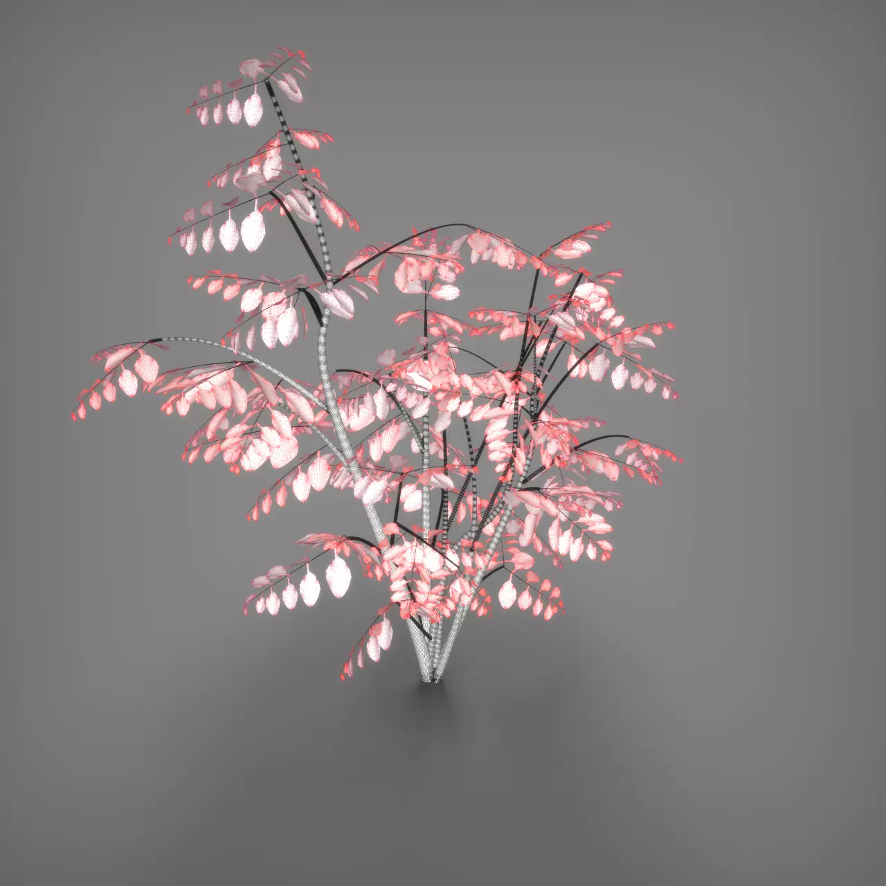 Wild Plant Ficus 3D model_12