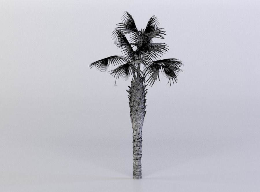 tree 61 AMC01 3D model_10