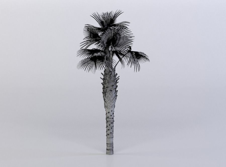 tree 61 AMC01 3D model_9