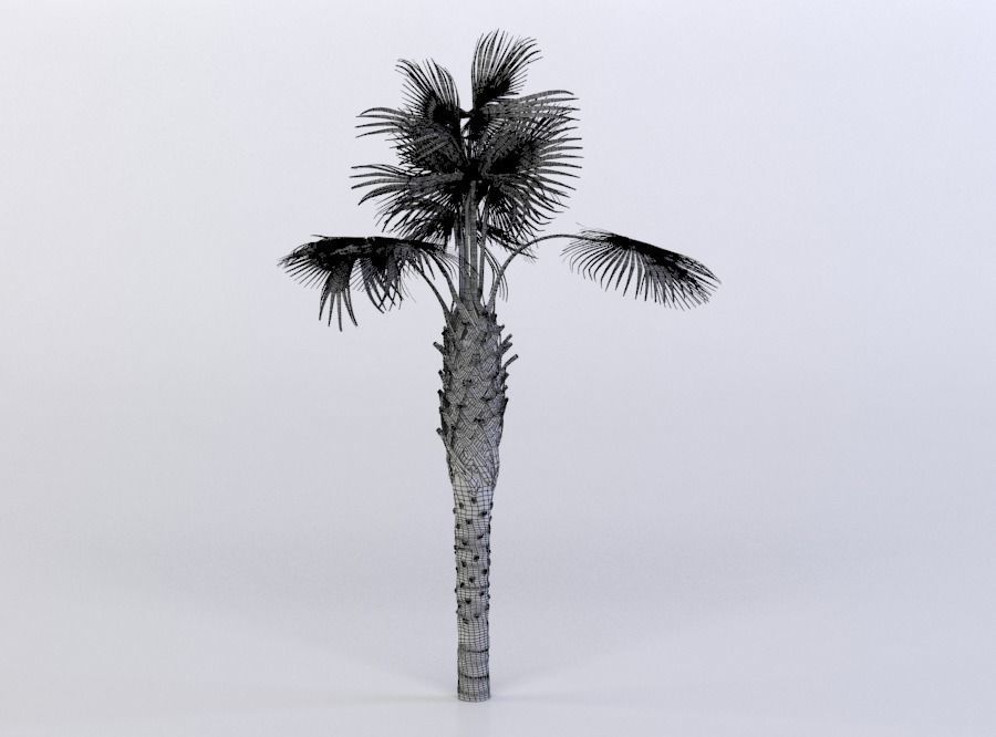 tree 61 AMC01 3D model_8