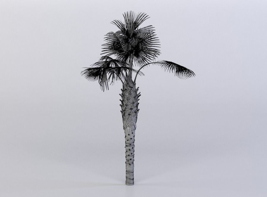 tree 61 AMC01 3D model_11