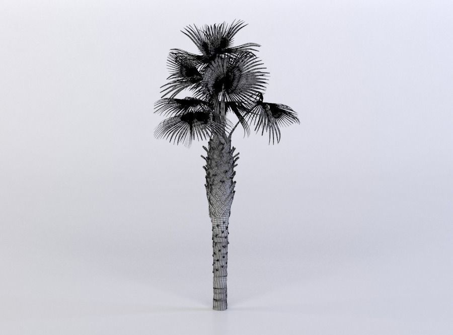 tree 61 AMC01 3D model_1