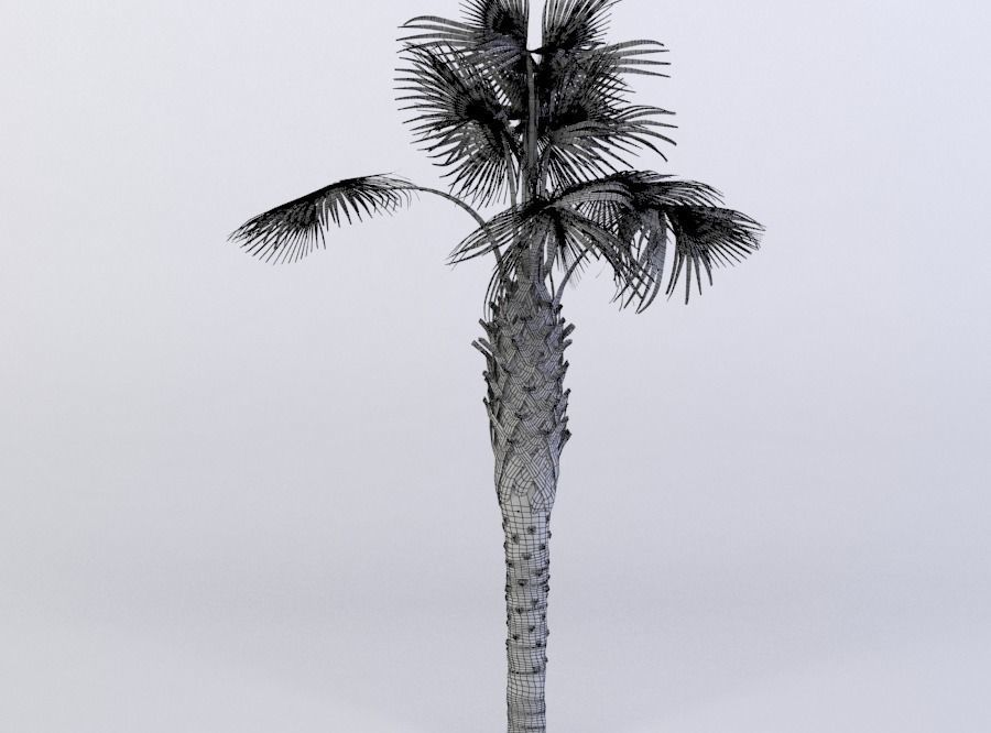 tree 61 AMC01 3D model_6