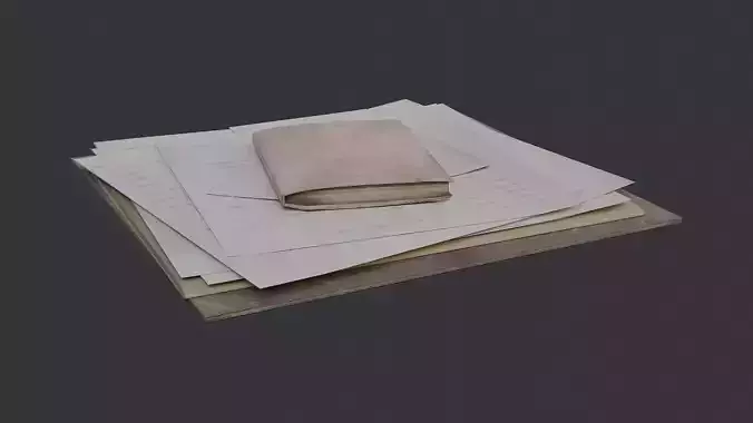 Office Folder with Papers