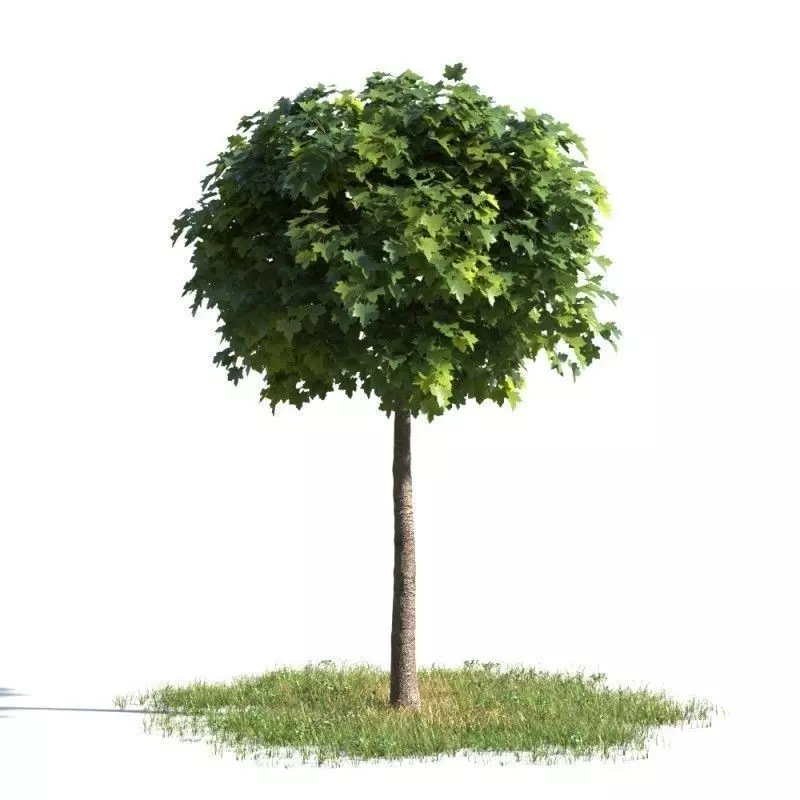 tree 93 AMC01 3D model_0