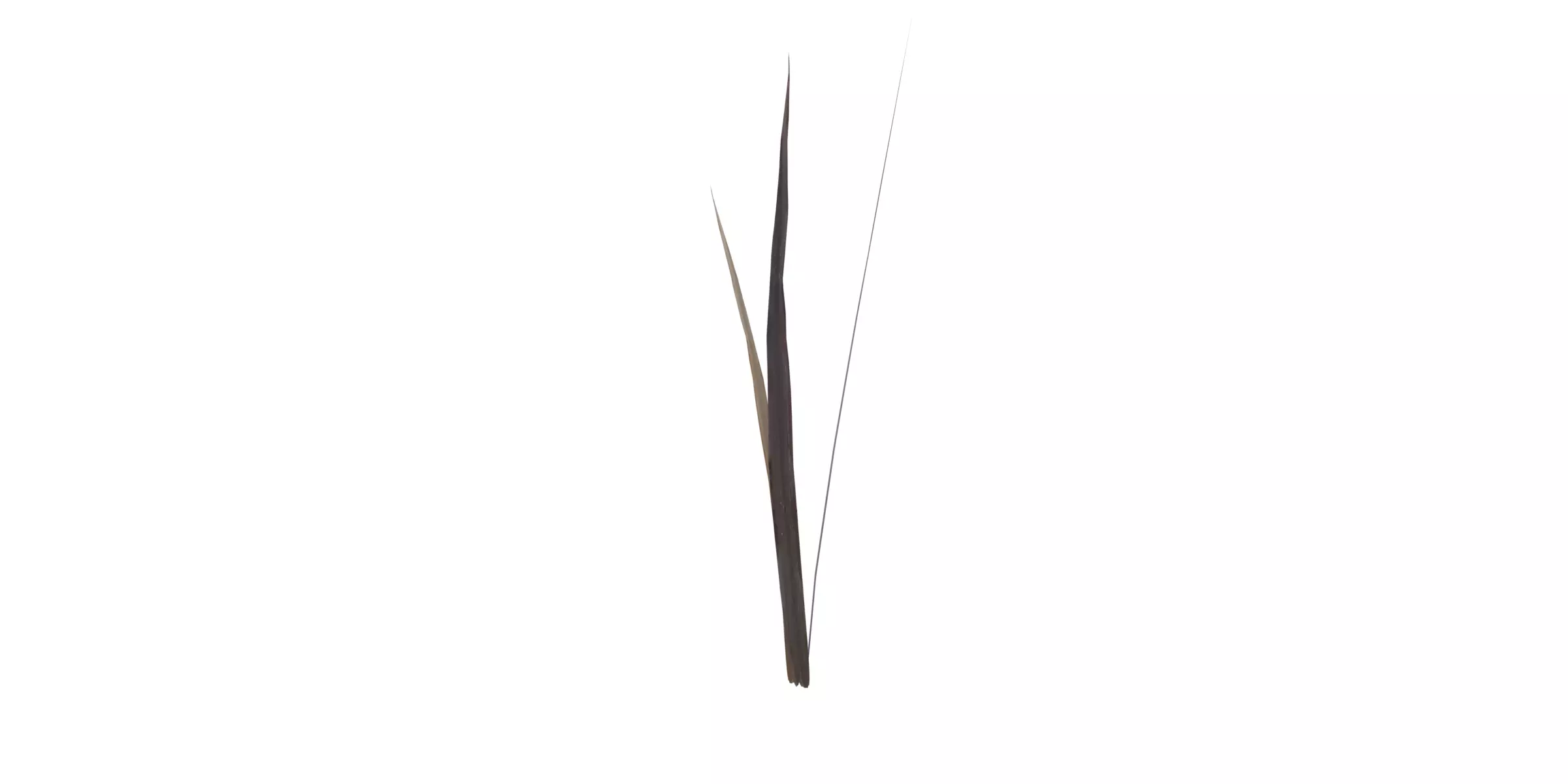 Grass with 17 variations Wildflower Collection Low-poly 3D model_5