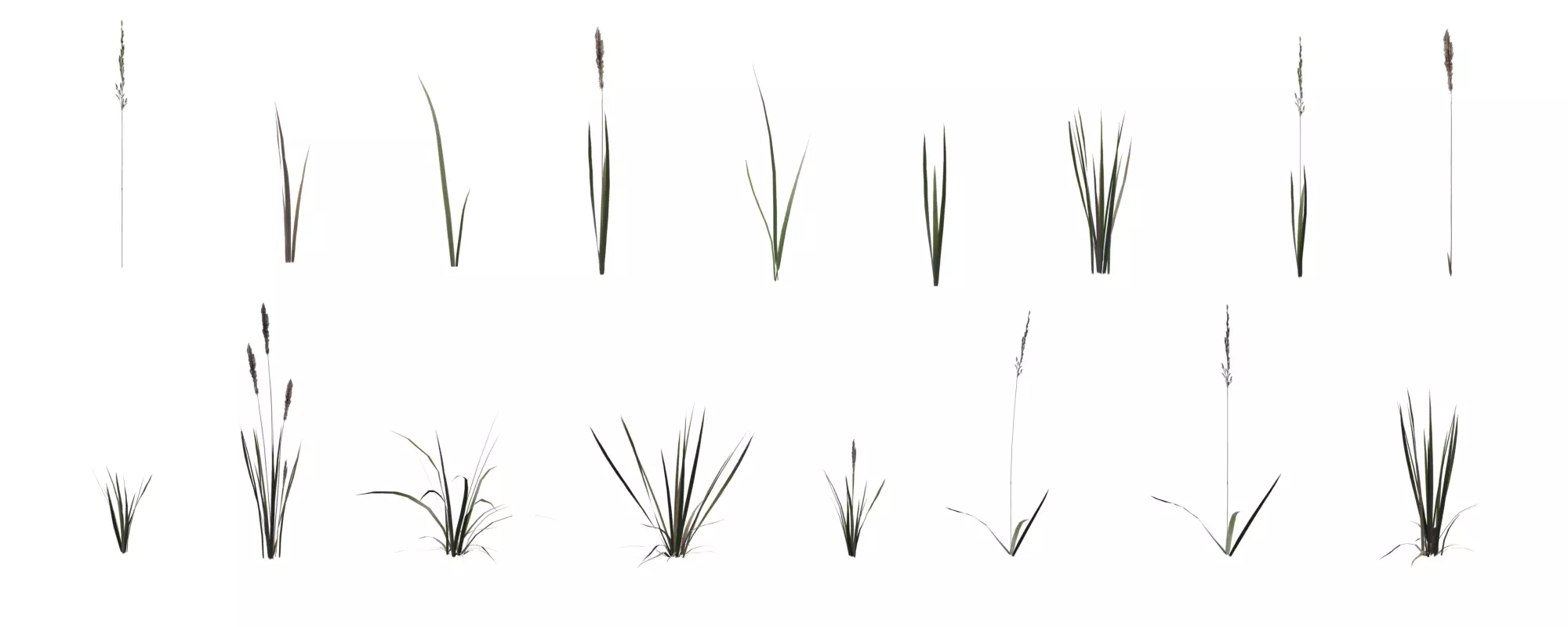 Grass with 17 variations Wildflower Collection Low-poly 3D model_0