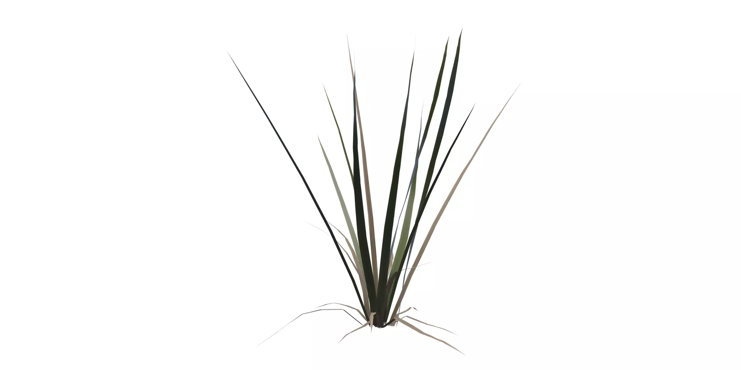 Grass with 17 variations Wildflower Collection Low-poly 3D model_2