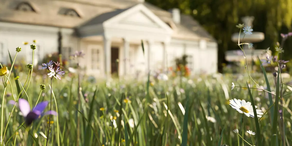 Harebell with 4 variations Wildflower Collection Low-poly 3D model_1