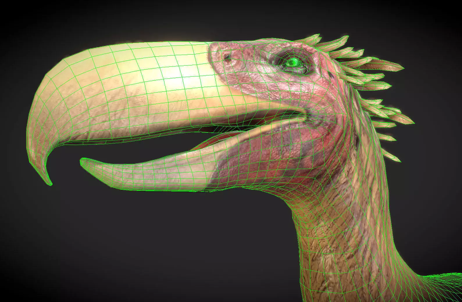 Kelenken V2 Low-poly 3D model_1