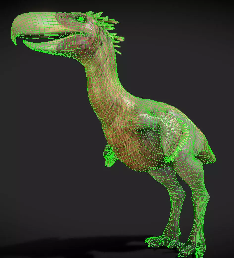 Kelenken V2 Low-poly 3D model_3