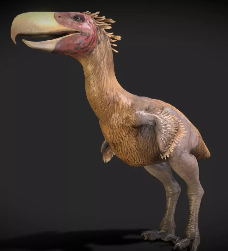 Kelenken V2 Low-poly 3D model_2