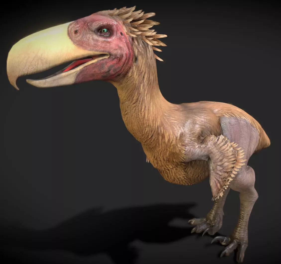 Kelenken V2 Low-poly 3D model_7